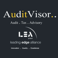 AuditVisor